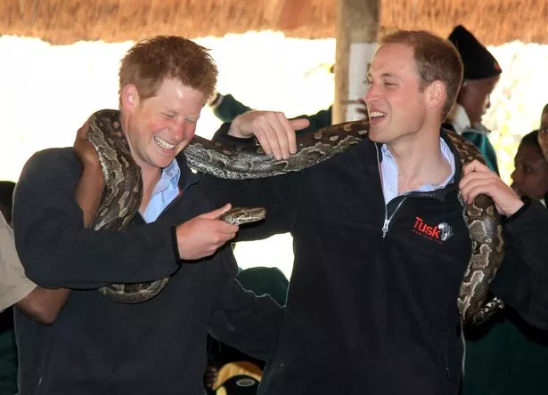 Pictured in 2010 in Gaborone, Botswana, Princes Harry and William had a strong bond