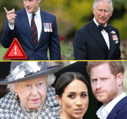 “HE SHOULD BE WORRIED!” – Stark Warning Issued to Prince Harry Over King Charles Reunion Talks