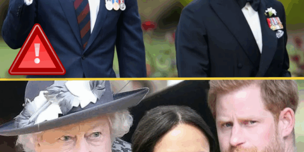 “HE SHOULD BE WORRIED!” – Stark Warning Issued to Prince Harry Over King Charles Reunion Talks