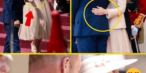 “We Couldn’t Stop Smiling!” The Adorable Moment Catherine Comforted William in Public Has Fans Falling in Love All Over Again