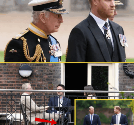 “WHO WOULD’VE THOUGHT?” – Royal Experts Say Harry and Charles’ Secret Talks Only Happened Thanks to Prince William’s Quiet Support