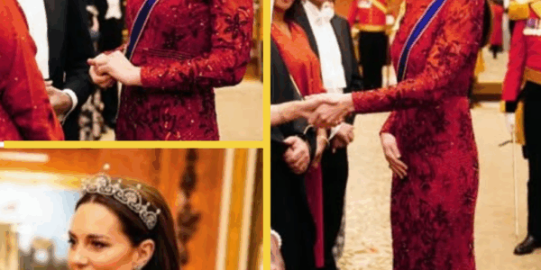 “Did Anyone Else Notice That?” – Catherine’s Gentle Move Toward William and That Red Tiara Reveal More Than Words Could
