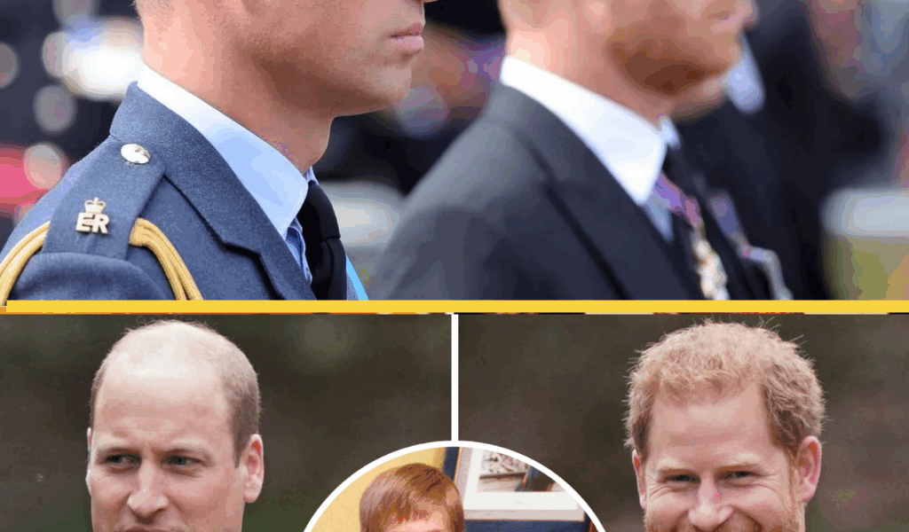 It’s NOW or NEVER! – Prince Harry and Prince William Must Reconcile or Risk Irreversible Damage to the Monarchy, Experts Warn