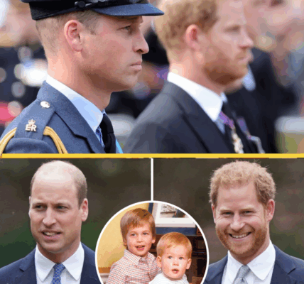 It’s NOW or NEVER! – Prince Harry and Prince William Must Reconcile or Risk Irreversible Damage to the Monarchy, Experts Warn