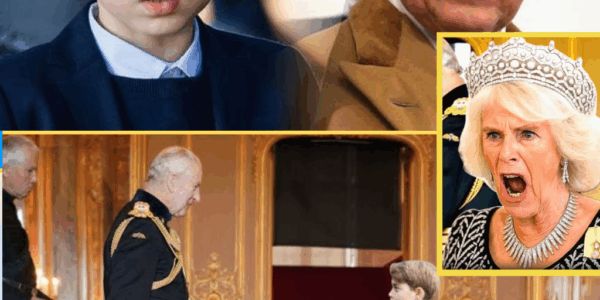 “WHY HIM?!” – Queen Camilla ‘Expl0des’ After Prince George Receives 7 New Titles from King Charles in Jaw-Dropping Decision