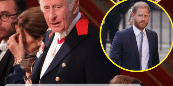 THAT MUST HAVE HURT! Prince Harry Ignored as King Charles Makes Powerful Public Statement About William “I’m Proud of My Son”