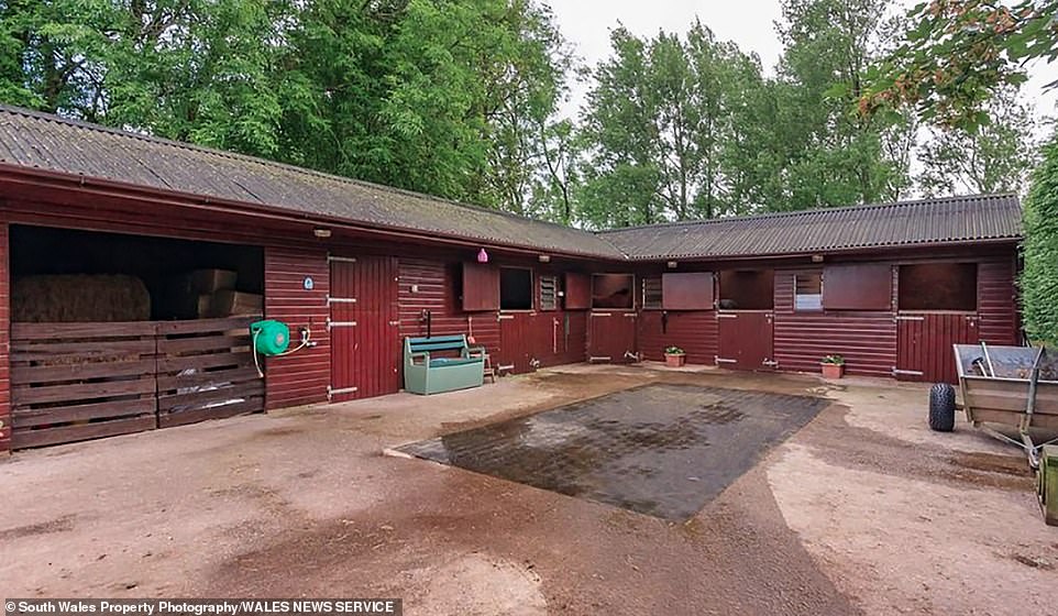 These stables are just one of the unusual features that come with the five-bedroom mansion in Cowbridge that is currently on the market
