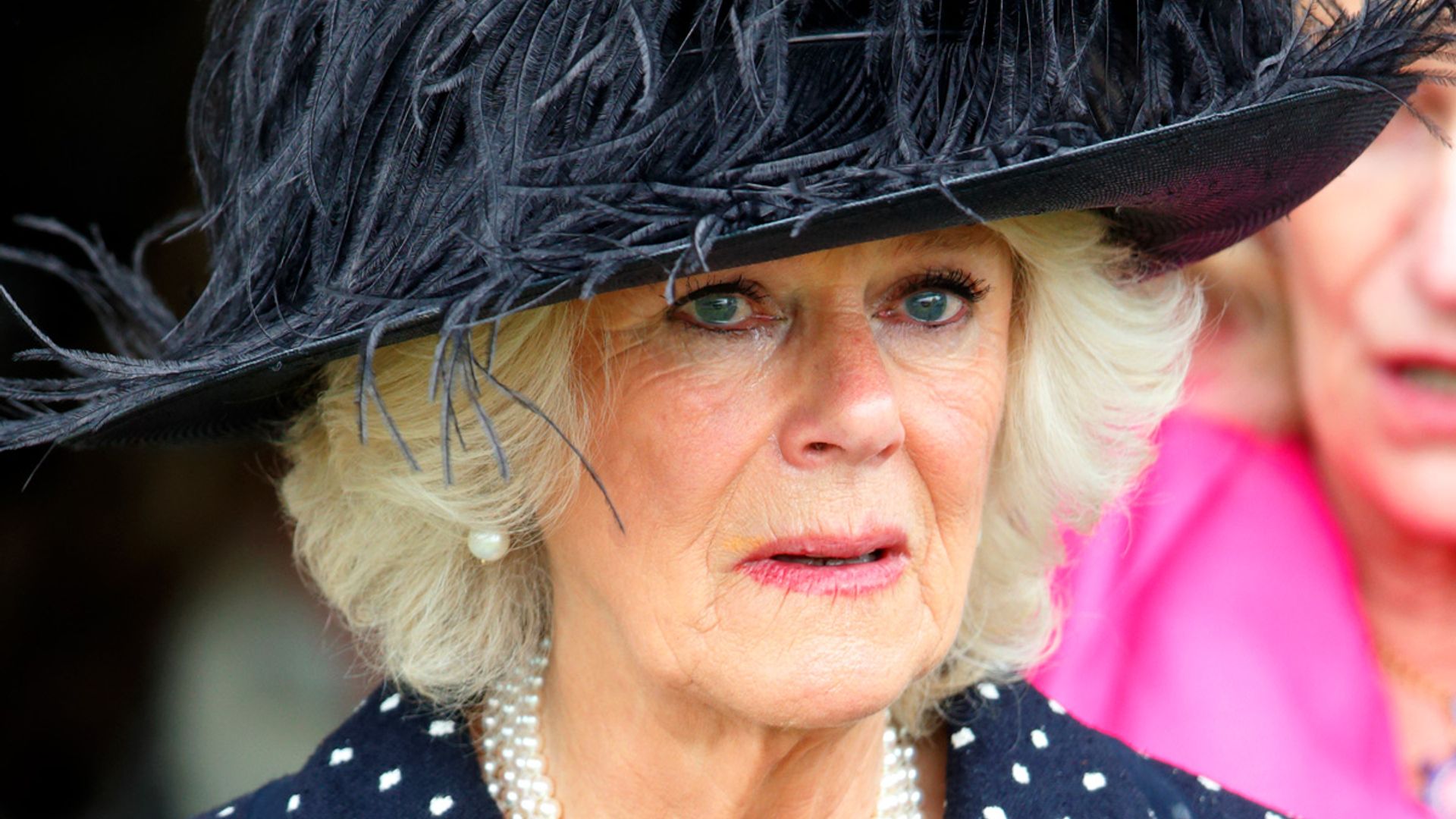 Queen Consort Camilla 'howled' every night over childhood passion | HELLO!