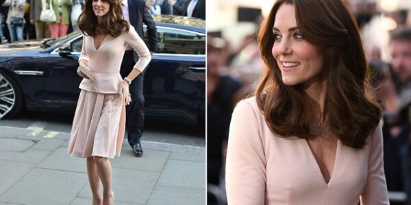 OMG! Princess Catherine Utmost Beauty in Gorgeous Pink Dress as Princess Debuts NEW GIFT From William!
