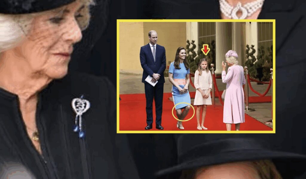 PALACE IN CHAOS! Charlotte REFUSES To Curtsy To Step-grandmother Camilla At Royal Concert, Queen’s Response Sh0cks All