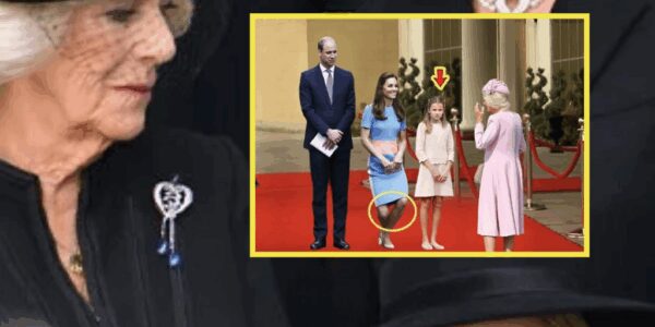 PALACE IN CHAOS! Charlotte REFUSES To Curtsy To Step-grandmother Camilla At Royal Concert, Queen’s Response Sh0cks All