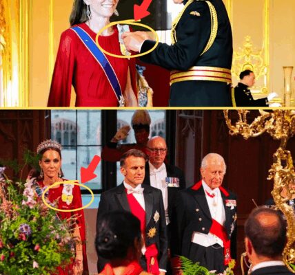 “THIS CHANGES EVERYTHING!” ROYALS SHOCKED as King Charles Grants Catherine a Rare New Honor — Calls Her ‘Daughter’ at French State Banquet