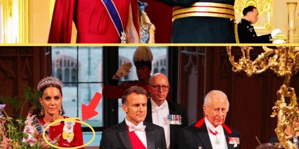 “THIS CHANGES EVERYTHING!” ROYALS SHOCKED as King Charles Grants Catherine a Rare New Honor — Calls Her ‘Daughter’ at French State Banquet