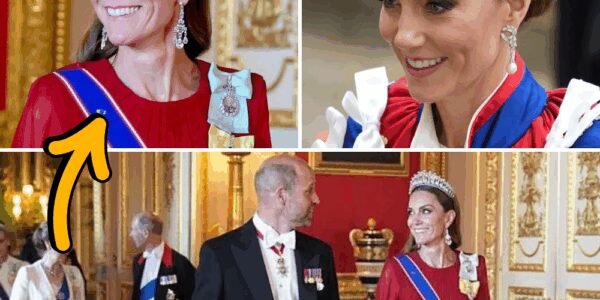 “He Could Barely Finish!” – King Charles’s Tearful Tribute to Princess Catherine Leaves Banquet in Silence