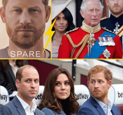 HE REALLY SAID THAT? Prince Slammed for ‘Dissing’ Royals Just to Stay in the Headlines, Expert Reveals