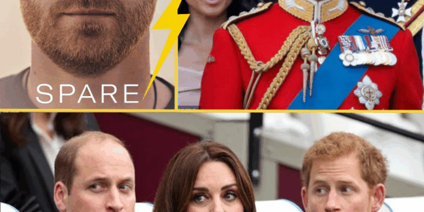 HE REALLY SAID THAT? Prince Slammed for ‘Dissing’ Royals Just to Stay in the Headlines, Expert Reveals