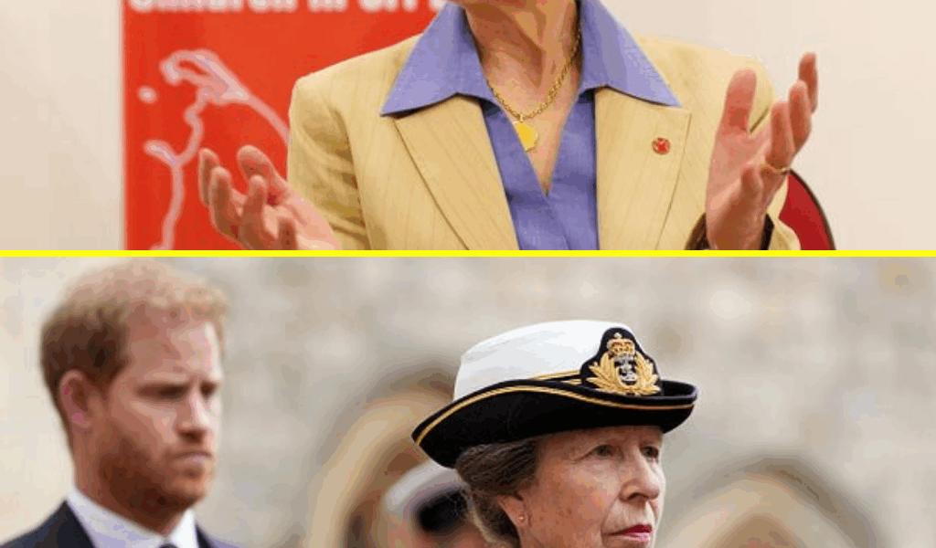 SH0CKING TWIST: Princess Anne Finally Had Chance to Speak to Prince Harry — But One Huge Problem Stopped Everything