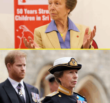 SH0CKING TWIST: Princess Anne Finally Had Chance to Speak to Prince Harry — But One Huge Problem Stopped Everything