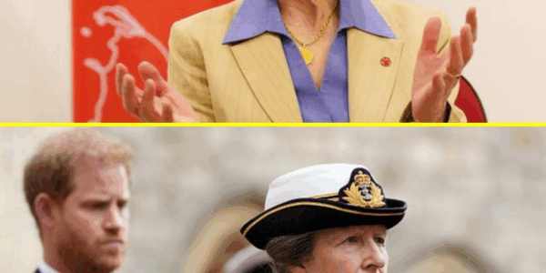 SH0CKING TWIST: Princess Anne Finally Had Chance to Speak to Prince Harry — But One Huge Problem Stopped Everything