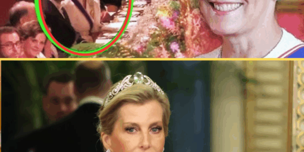 OMG! Duchess Sophie’s £1M Tiara STEALS the Show As She Receives New Prestigious Honors From King Charles