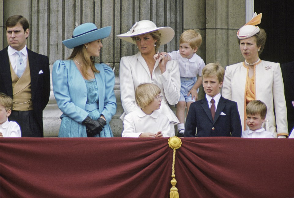  Will, right, can be seen pulling faces near to his brother Prince Harry, two, and mum Princess Diana