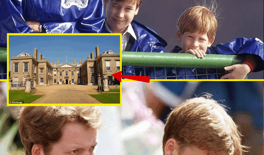OH REALLY? The real reason Prince Harry and Prince William won’t inherit Princess Diana’s childhood home and the little-known family member who is first in line to the estate