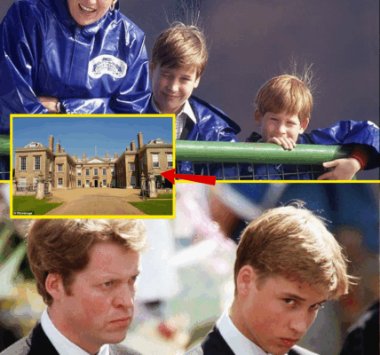 OH REALLY? The real reason Prince Harry and Prince William won’t inherit Princess Diana’s childhood home and the little-known family member who is first in line to the estate