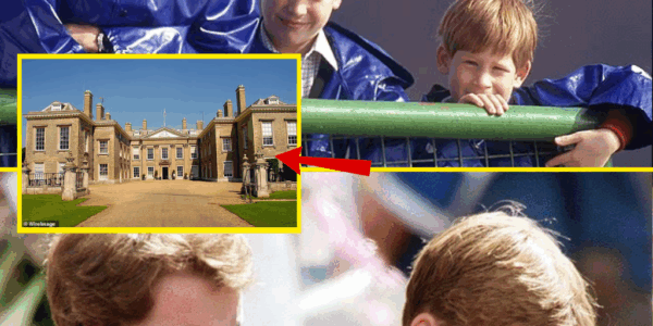 OH REALLY? The real reason Prince Harry and Prince William won’t inherit Princess Diana’s childhood home and the little-known family member who is first in line to the estate
