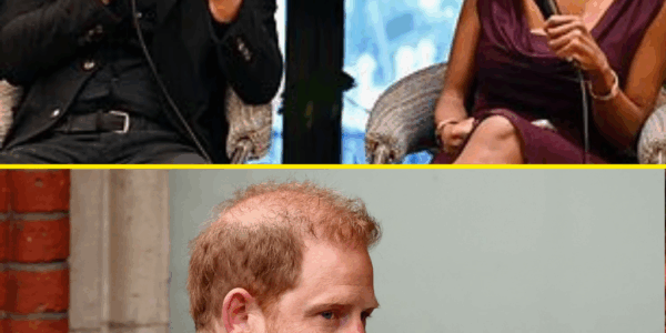 ‘Prince Harry should STOP BEING THE VICTIM’: Queen’s press secretary urges ‘impulsive’ duke to ‘write his own script’ because people are ‘tired’ of how he thinks ‘world is against him’