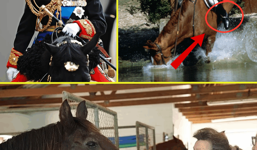 “NOT JUST A MINOR FALL…” – What Really Happened to Princess Anne During the Mysterious Horse Incident?
