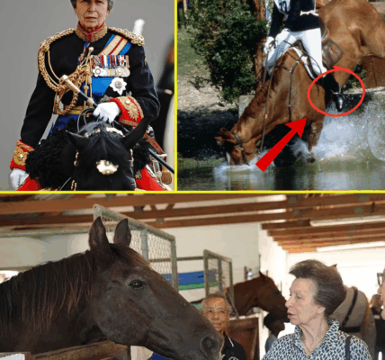 “NOT JUST A MINOR FALL…” – What Really Happened to Princess Anne During the Mysterious Horse Incident?