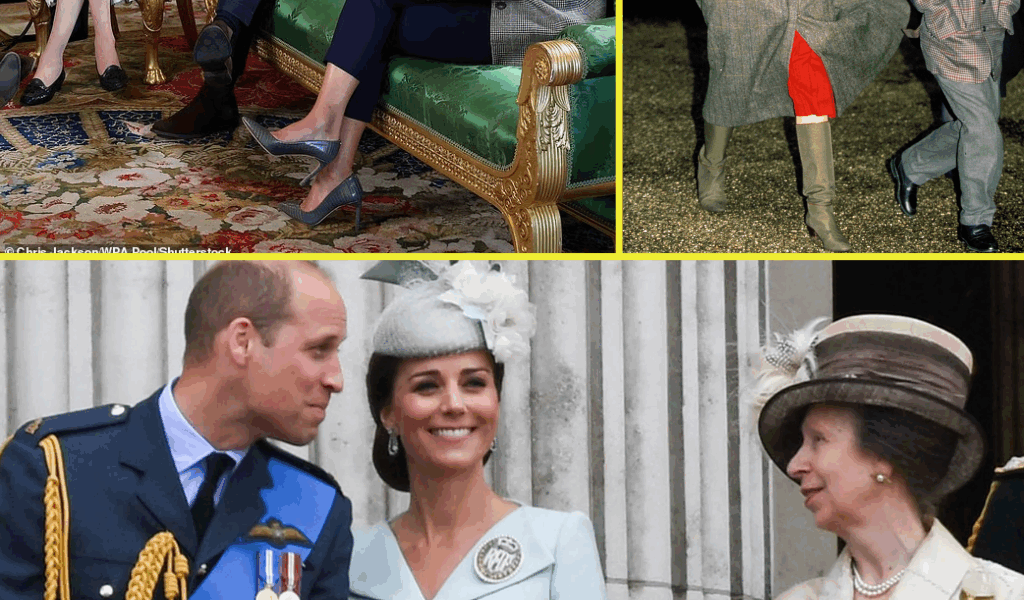 “OH, WILLIAM!” – The Funny Little Thing Prince William Does That Gets on Princess Anne’s Nerves (Just a Bit!)