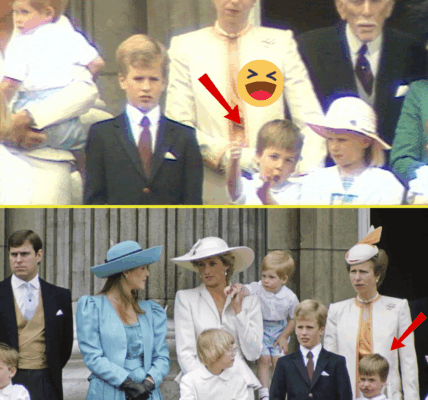 ROYAL CHAOS! Little Prince William Gets TOO Excited – And Aunt Anne Steps In Like a Pro. Four-Year-Old Prince William’s Adorable Energy Steals the Show at Trooping the Colour
