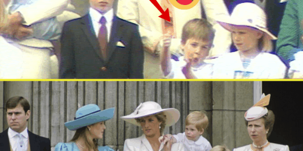 ROYAL CHAOS! Little Prince William Gets TOO Excited – And Aunt Anne Steps In Like a Pro. Four-Year-Old Prince William’s Adorable Energy Steals the Show at Trooping the Colour