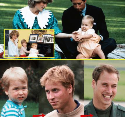 FROM BOY TO FUTURE KING: Prince William’s Remarkable Journey Through the Years in Rare Photos