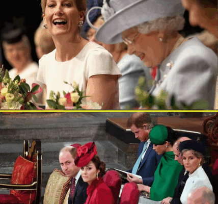 No More Formal Fuss? – The Royal Protocol Change That Has Duchess Sophie Secretly Smiling