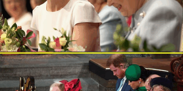 No More Formal Fuss? – The Royal Protocol Change That Has Duchess Sophie Secretly Smiling
