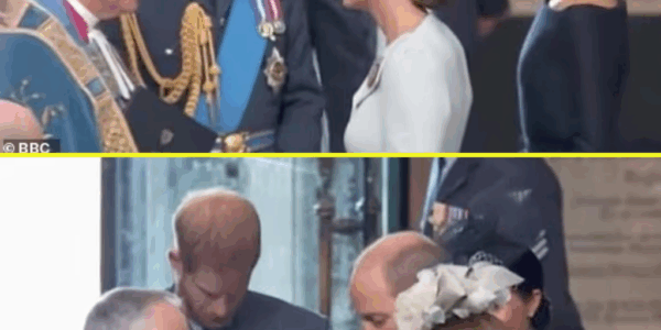 WHAT A GENTLE MOVE! Prince William Stepped In to Ease a Tense Moment Between Kate and Meghan, Expert Reveals