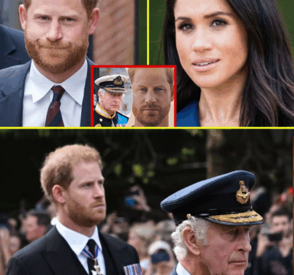 WHAT WENT WRONG? Inside the Collapse of Prince Harry’s Peace Talks with King Charles