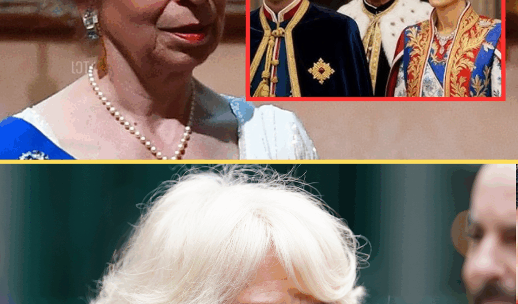 “Royal Shockwave!” Princess Anne Endorses William’s Strong Stand – Camilla Worries About the Future