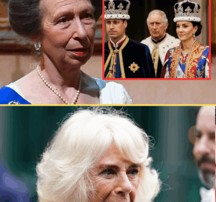“Royal Shockwave!” Princess Anne Endorses William’s Strong Stand – Camilla Worries About the Future