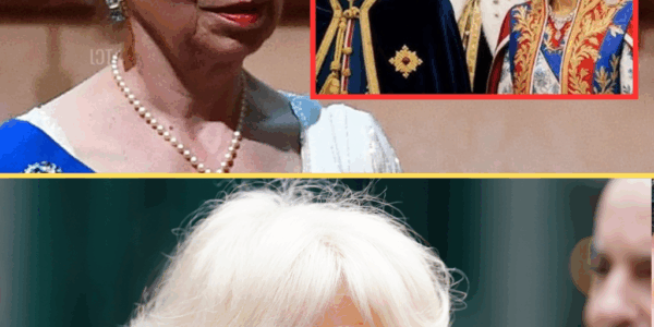 “Royal Shockwave!” Princess Anne Endorses William’s Strong Stand – Camilla Worries About the Future