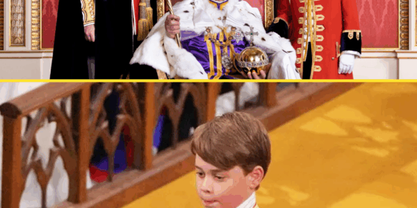 “NOT JUST A CHILD ANYMORE” – King Charles’s Personal Concerns Spark Urgent Warning for Prince George’s Safety As Future King