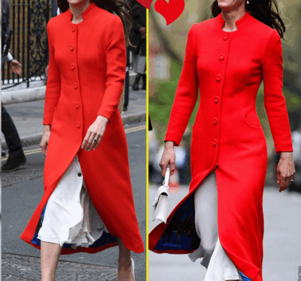 SIMPLY STUNNING! Princess Catherine Turns Heads in Elegant Crimson at Royal Event