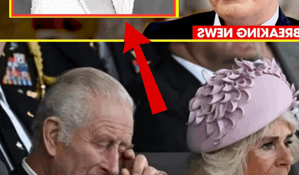 Shockwaves Through the Palace! Princess Diana’s Brother Speaks Out After 60 Years – Charles and Camilla Left Stunned