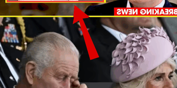 Shockwaves Through the Palace! Princess Diana’s Brother Speaks Out After 60 Years – Charles and Camilla Left Stunned