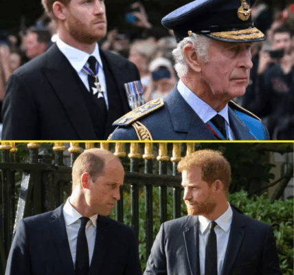 Royal Feud Heats Up: Harry’s Camp STRIKES BACK After Shocking Accusation From Prince William’s Circle