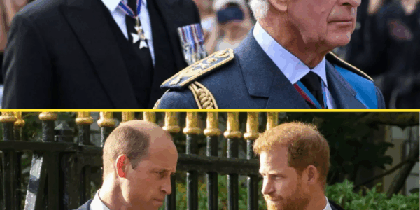 Royal Feud Heats Up: Harry’s Camp STRIKES BACK After Shocking Accusation From Prince William’s Circle