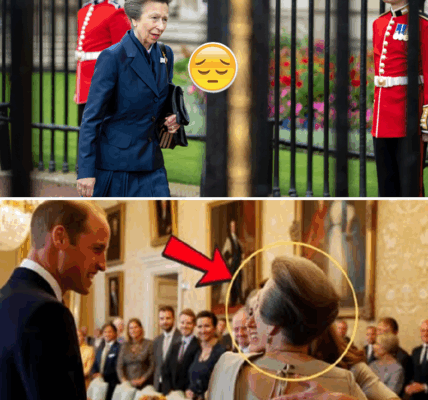 TWO HOUR AGO: Catherine and William Sent a Deeply Personal Message to Princess Anne on Her 75th Birthday — What They Said Made Her Cry and Left the Palace Speechless