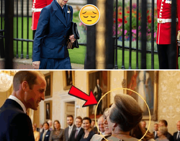 TWO HOUR AGO: Catherine and William Sent a Deeply Personal Message to Princess Anne on Her 75th Birthday — What They Said Made Her Cry and Left the Palace Speechless